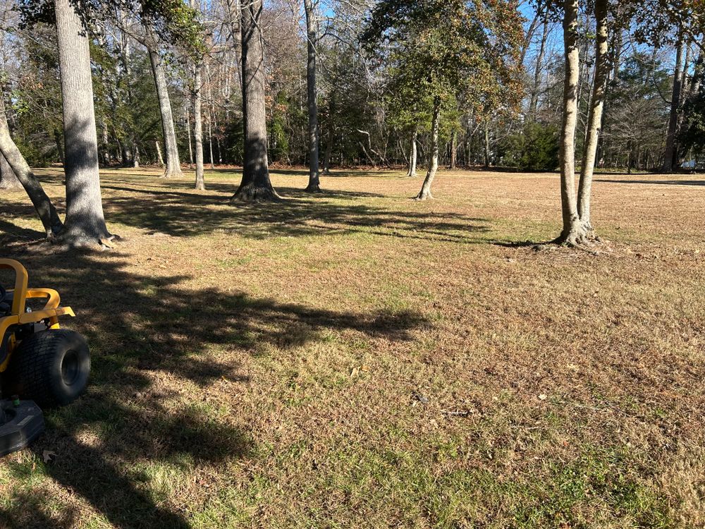 All Photos for The Whole 9 Yards Landscape VA in Heathsville, VA