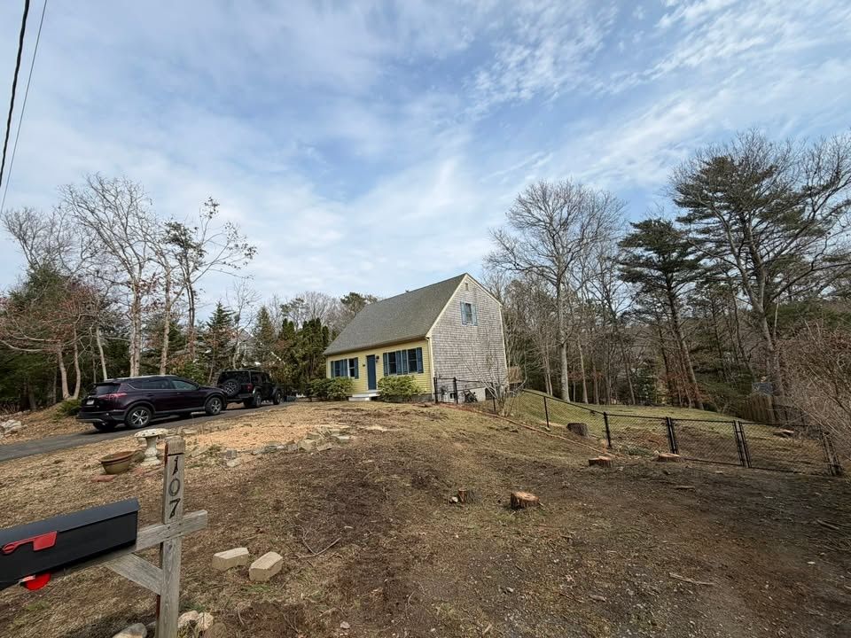 All Photos for Native Roots Tree Service in Cape Cod, MA