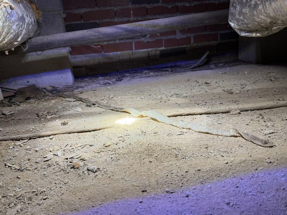 All Photos for VIP Plumbing in Cannon, GA