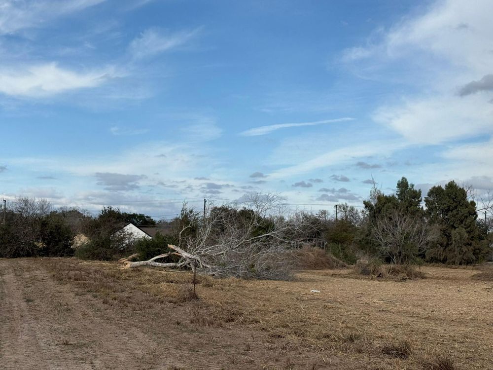 All Photos for Strause Land Improvement & Construction in George West, TX
