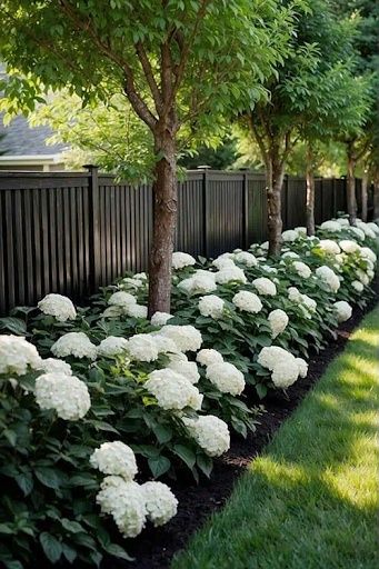 All Photos for Sanchez Z. Landscaping in Memphis, TN