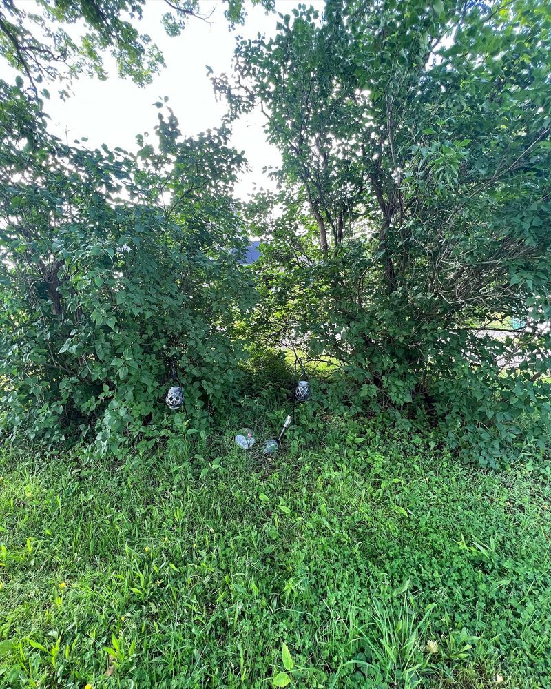 All Photos for Bielinski Bros Landscaping in Erie County, NY