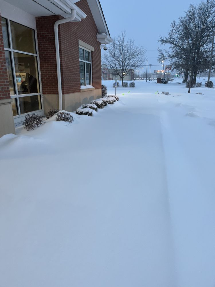 All Photos for Contemporary Landscape in St. Louis, MO