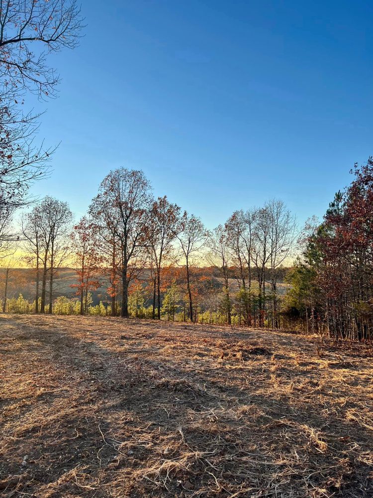 Land Clearing for Bass Land Management in Yellville, AR