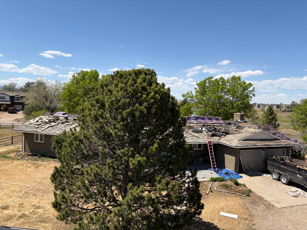 All Photos for Divine Roofing LLC in Severance, CO
