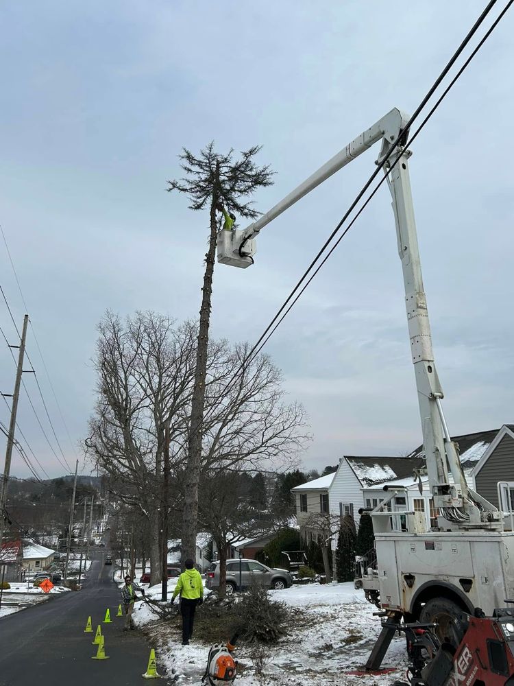 All Photos for All American Tree Services LLC in Dallas, PA