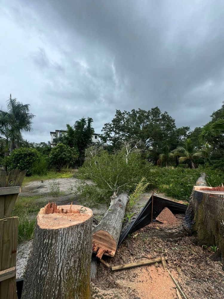 All Photos for Boone Property Works in Tampa, FL