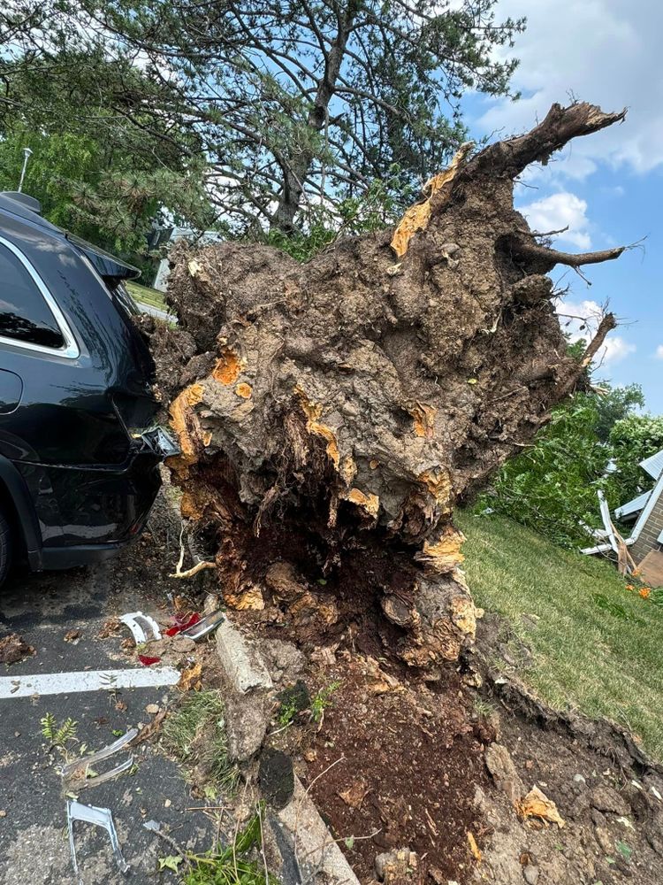 Our professional Tree Removal service is trusted by homeowners for safe and efficient removal of unwanted trees. Count on us to enhance the safety and aesthetics of your property today. for Branching Out Tree Service in Hastings, MI