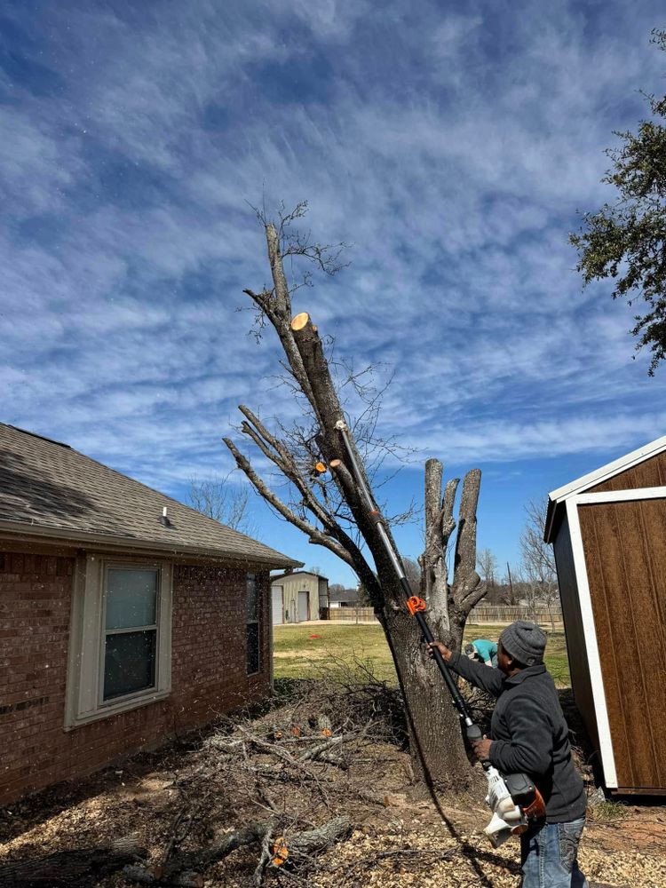 All Photos for Year Round Trees & Concrete Inc. in Fort Worth, TX