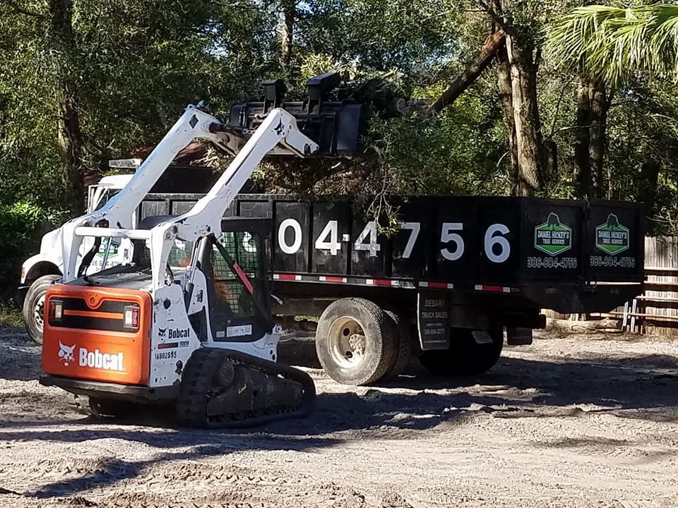 All Photos for Daniel Hickey’s Tree Service in DeLand, FL