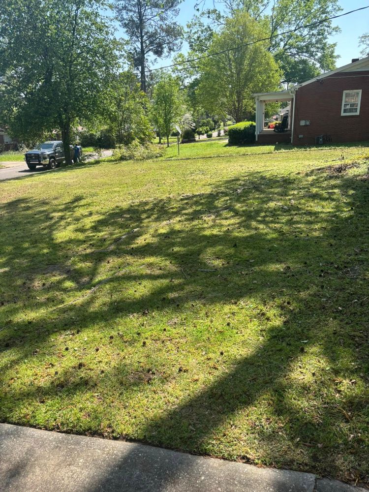 Landscaping for Sparks Landscaping in Augusta, GA
