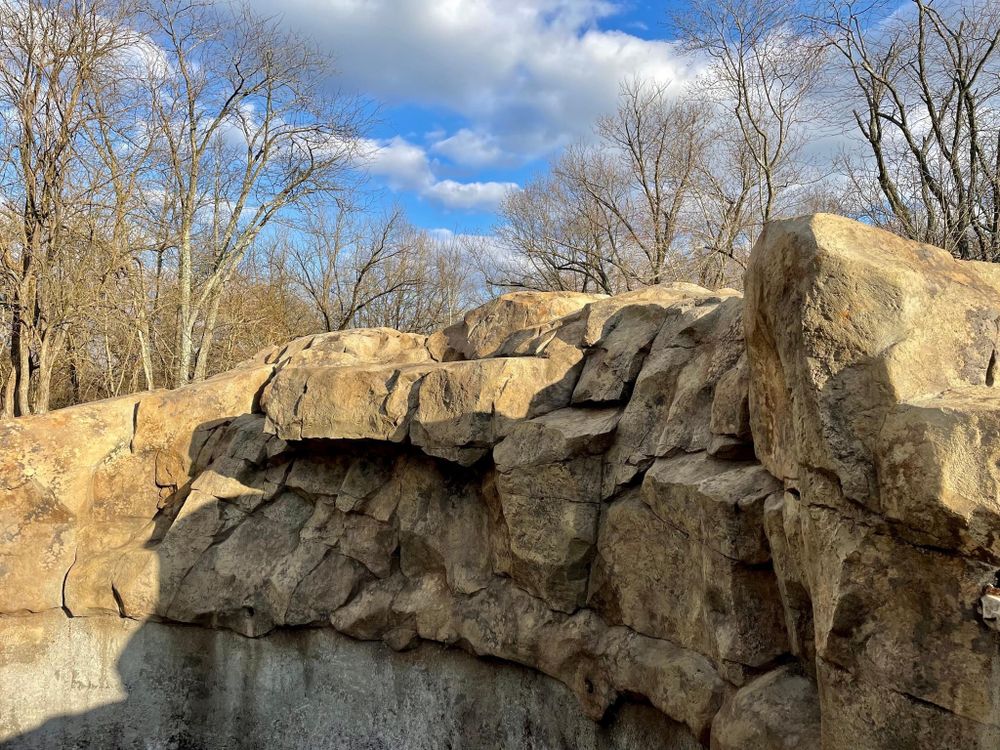 All Photos for Texas Curb N Borders in Houston, TX