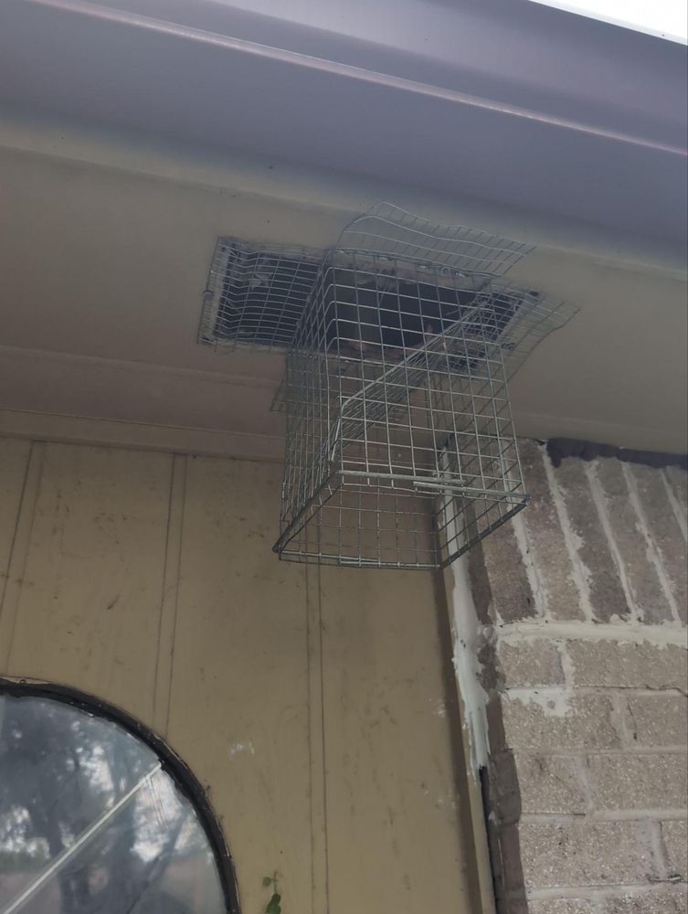 All Photos for Topper's Wildlife Removal in Garland, TX