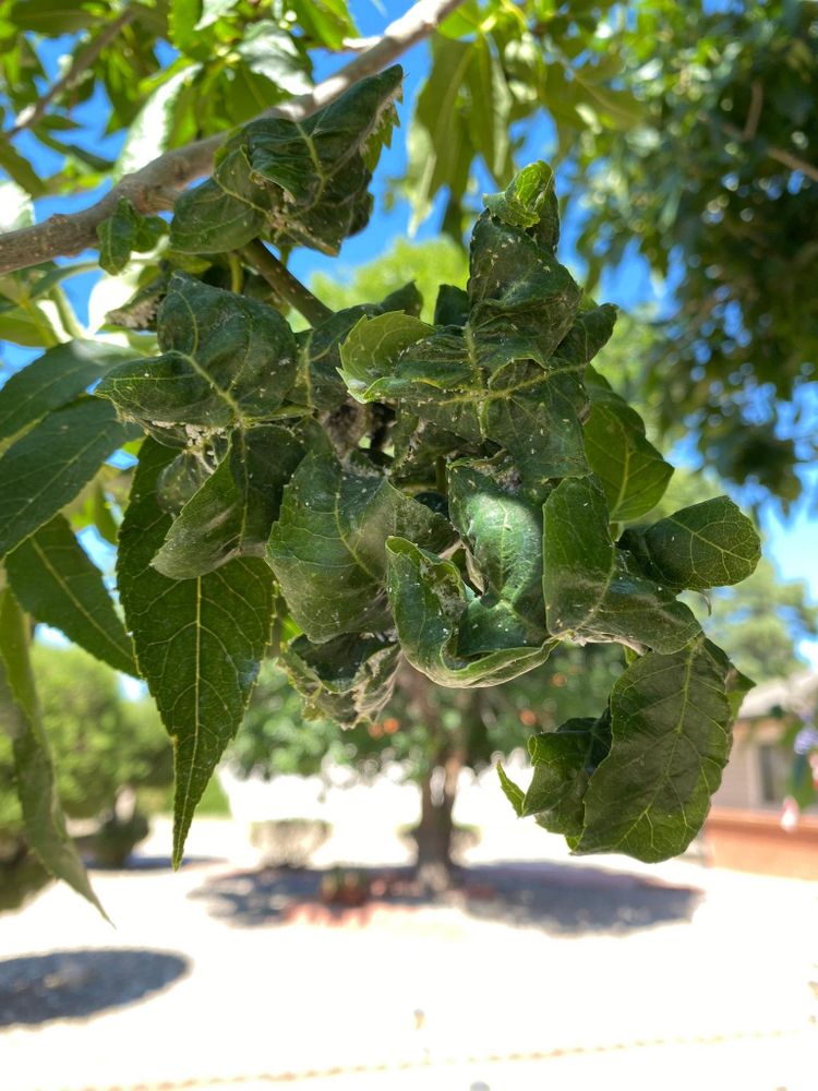 All Photos for Raton Property Maintenance in Raton, NM