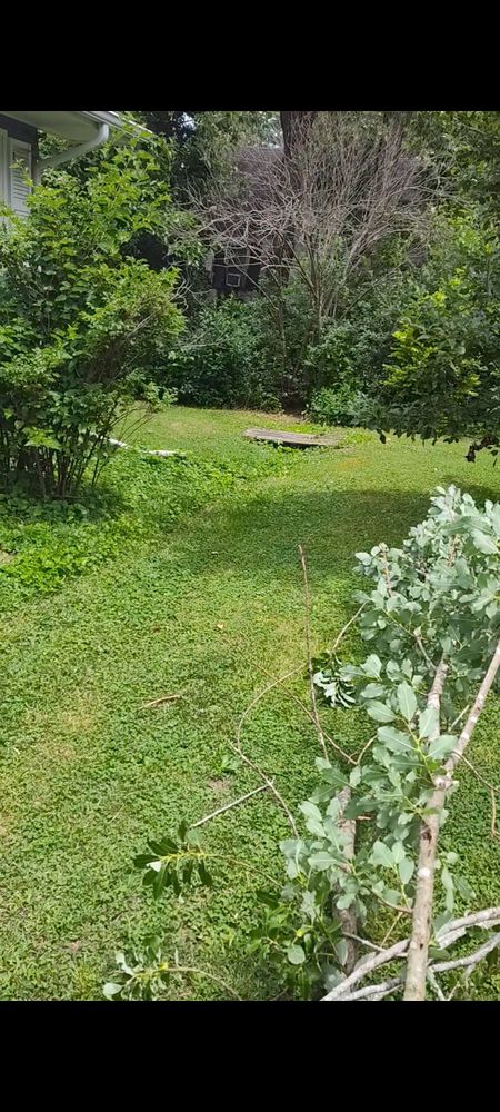 Our professional mowing service ensures a beautifully manicured lawn, enhancing your home's curb appeal with precise cuts and consistent care designed to maintain lush, healthy grass all season long. for Superior Landscaping Design in Ava, MO
