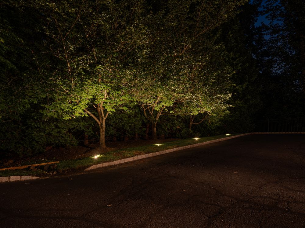 All Photos for Unique Outdoor Lighting in Short Hills, NJ