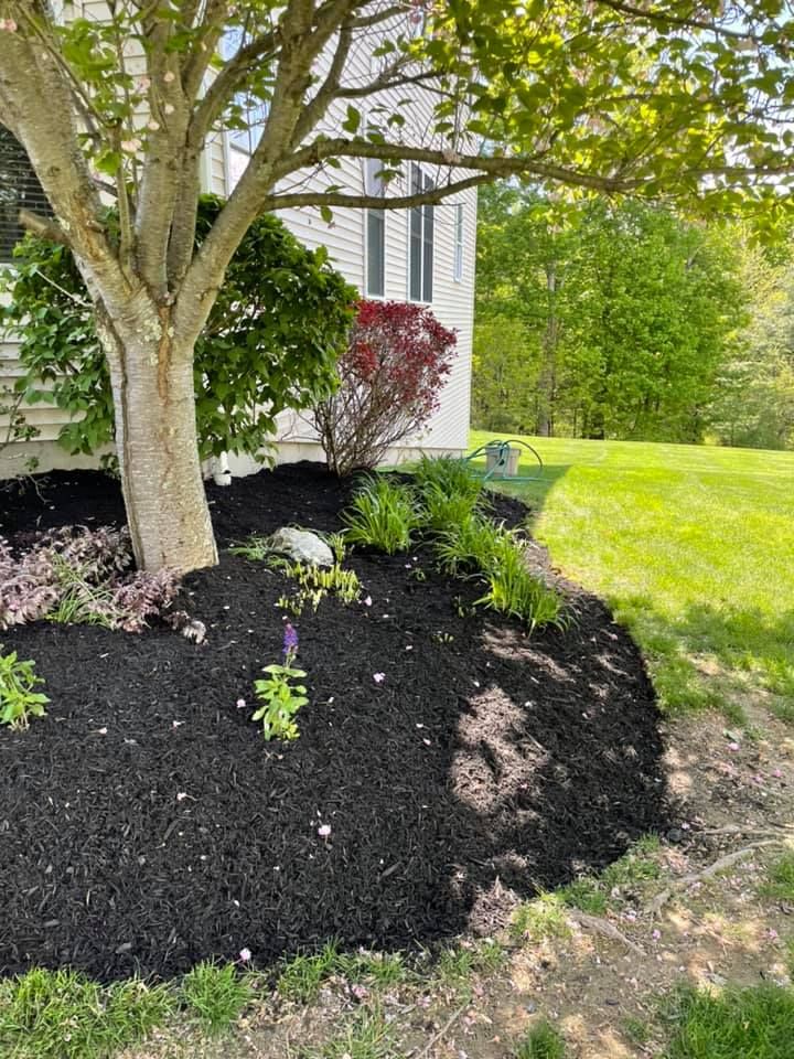 Landscaping for Zaldivar’s Lawn Care INC  in Peekskill, NY