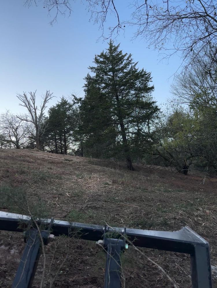 Land Clearing for Gregory Grass and Land in Lafayette, TN