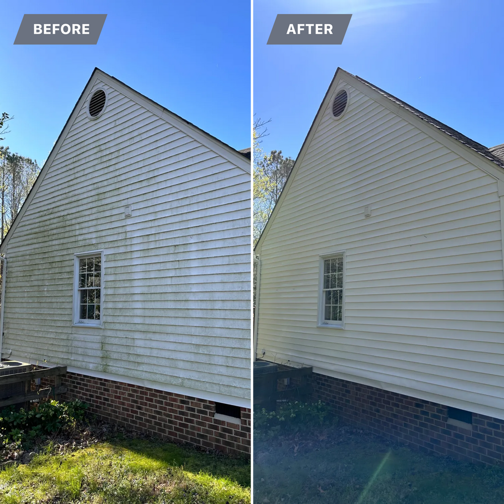 All Photos for LeafTide Solutions in Richmond, VA