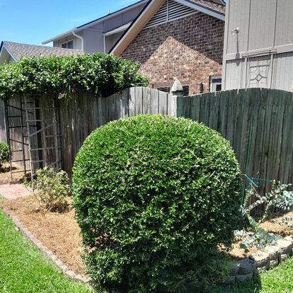 All Photos for Handy Al's Landscaping LLC in Greenville, NC