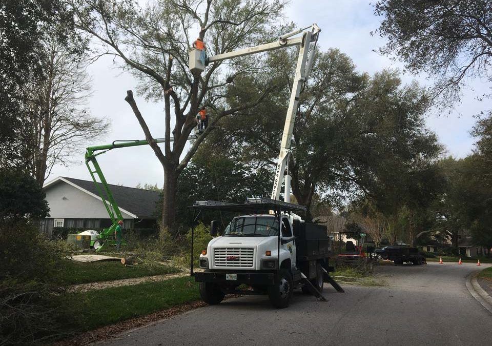 All Photos for Outdoor Assassins LLC in Hendersonville, NC