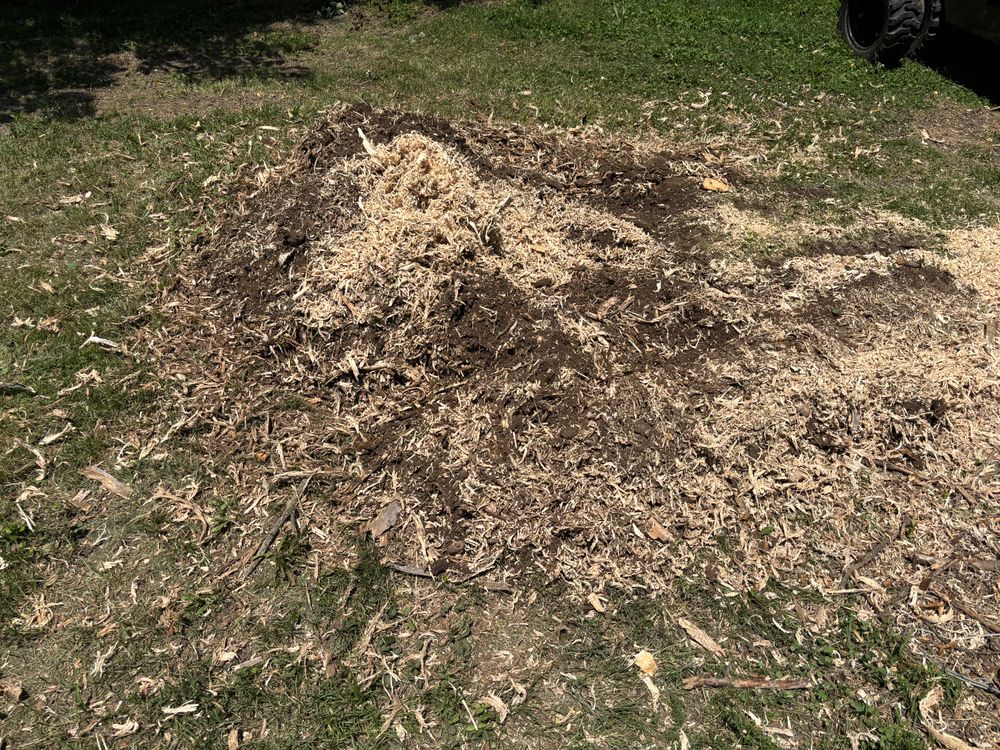 All Photos for Conrad's Stump Removal in Columbus, IN