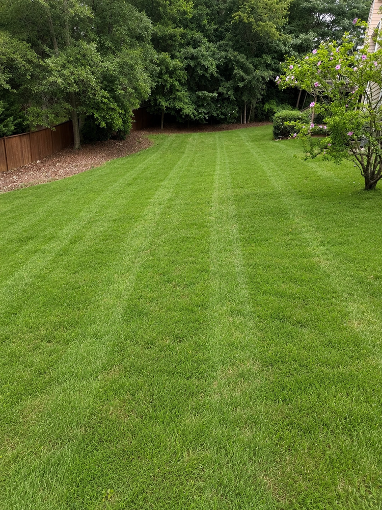 All Photos for Clark's Cuts Lawn Care in Lilburn, GA