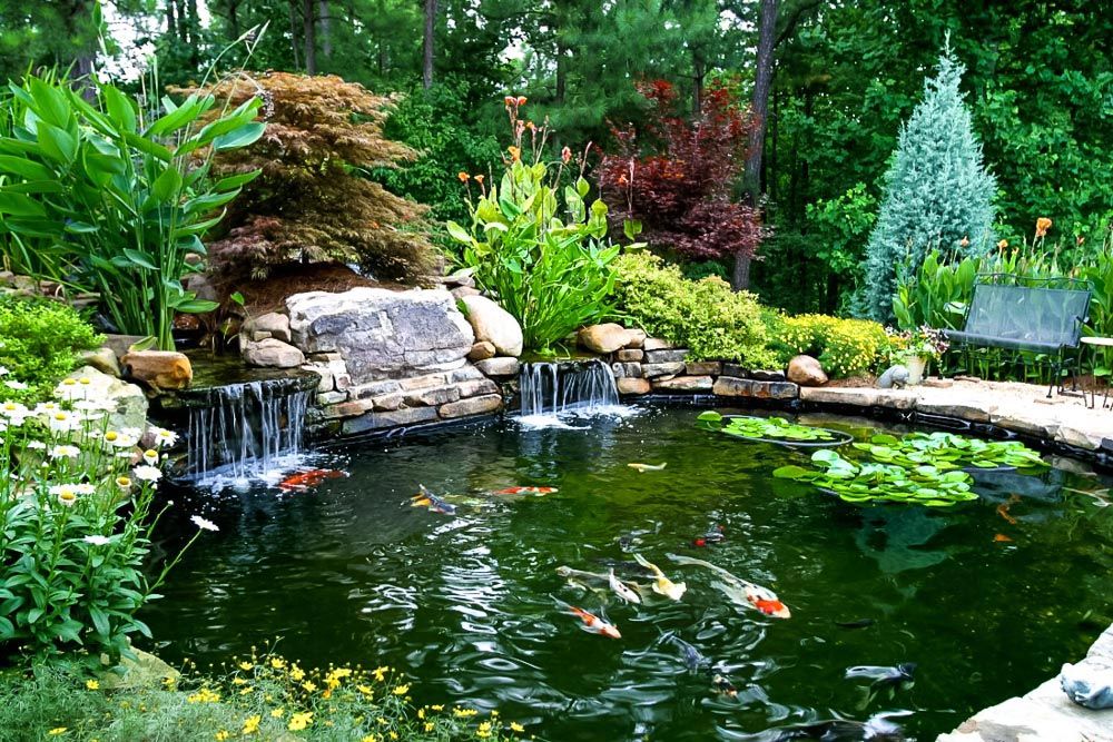 Our Ponds service offers homeowners a beautiful and serene addition to their landscape. From natural pond construction to maintenance services, we create the perfect oasis in your own backyard. for Live Living NYC in New York, NY