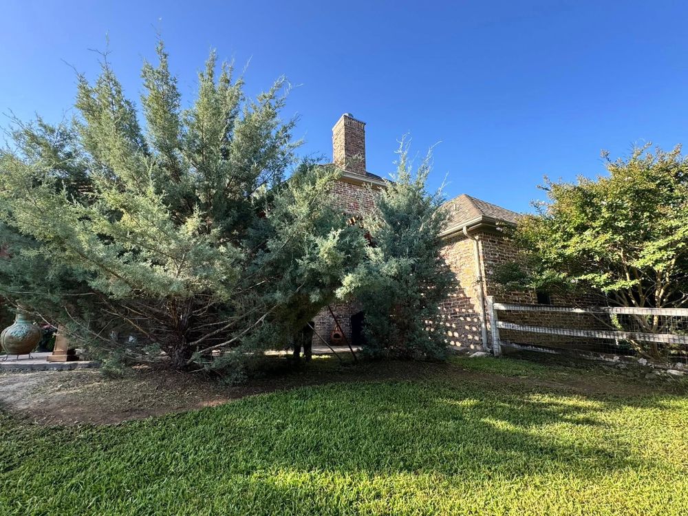 All Photos for Year Round Trees & Concrete Inc. in Fort Worth, TX