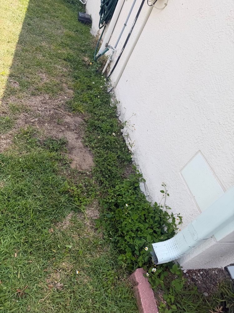 All Photos for The Yardman in Tampa, FL