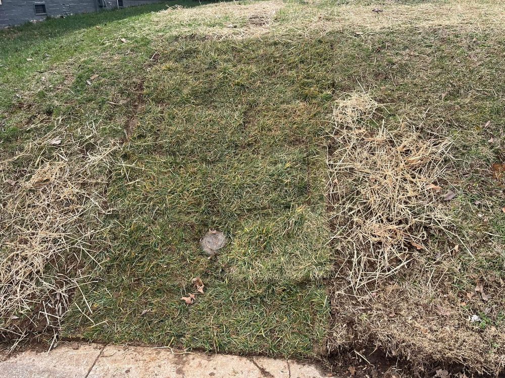 Lawn Care for Real Deal Lawn Care in Goodlettsville, TN