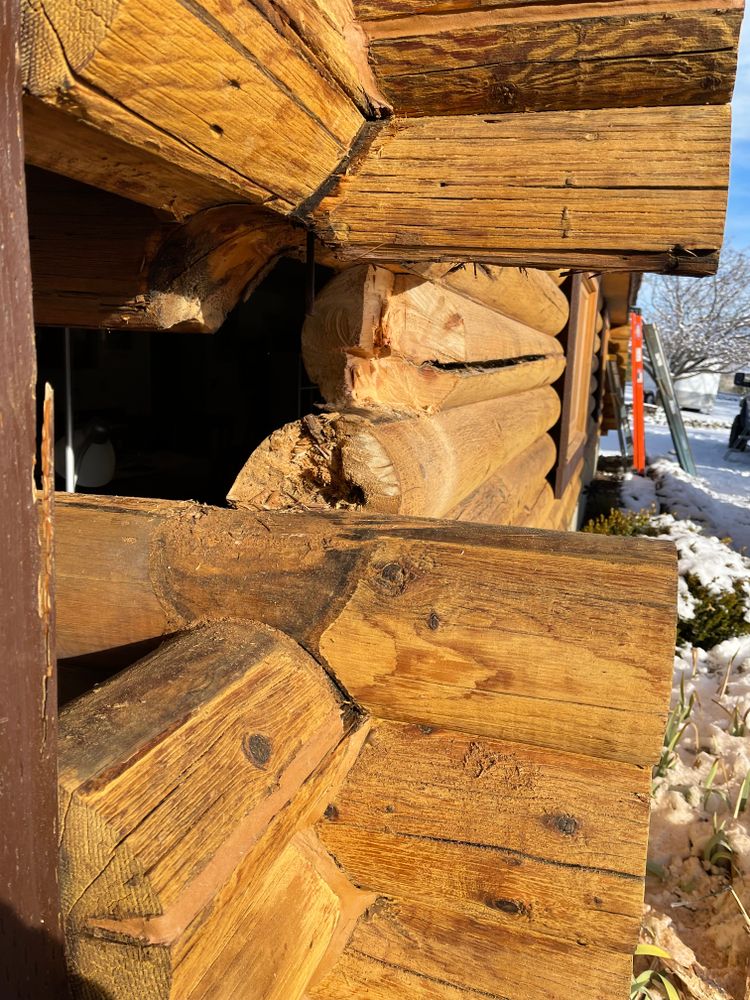 All Photos for Wild West Log home specialists in Corvallis, MT