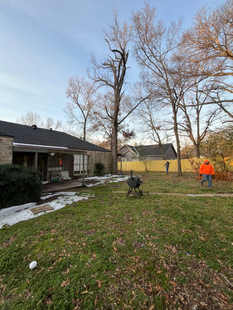 All Photos for JC Land and Tree Service in Kilgore, TX