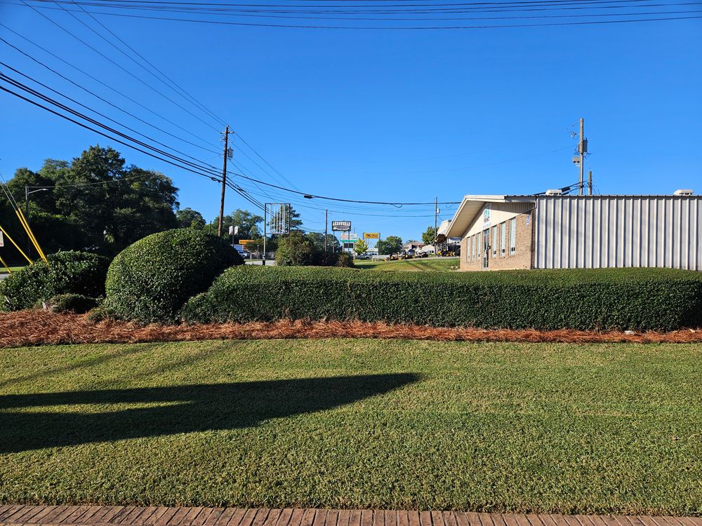 All Photos for Zepeda's Mowing in Fort Valley, GA
