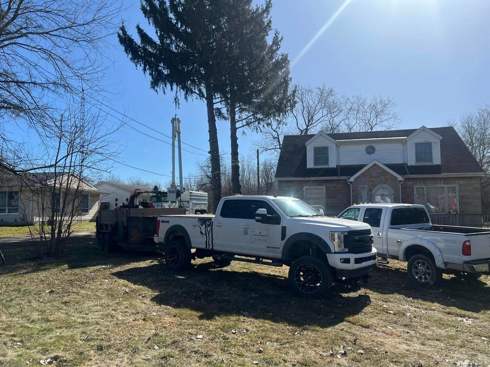 All Photos for The Bucking Arborists in Flint, MI