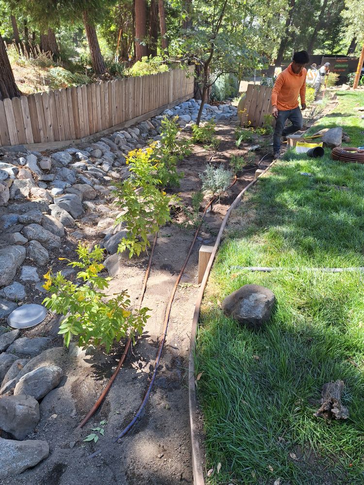 All Photos for Best Lawncare in Colton, CA