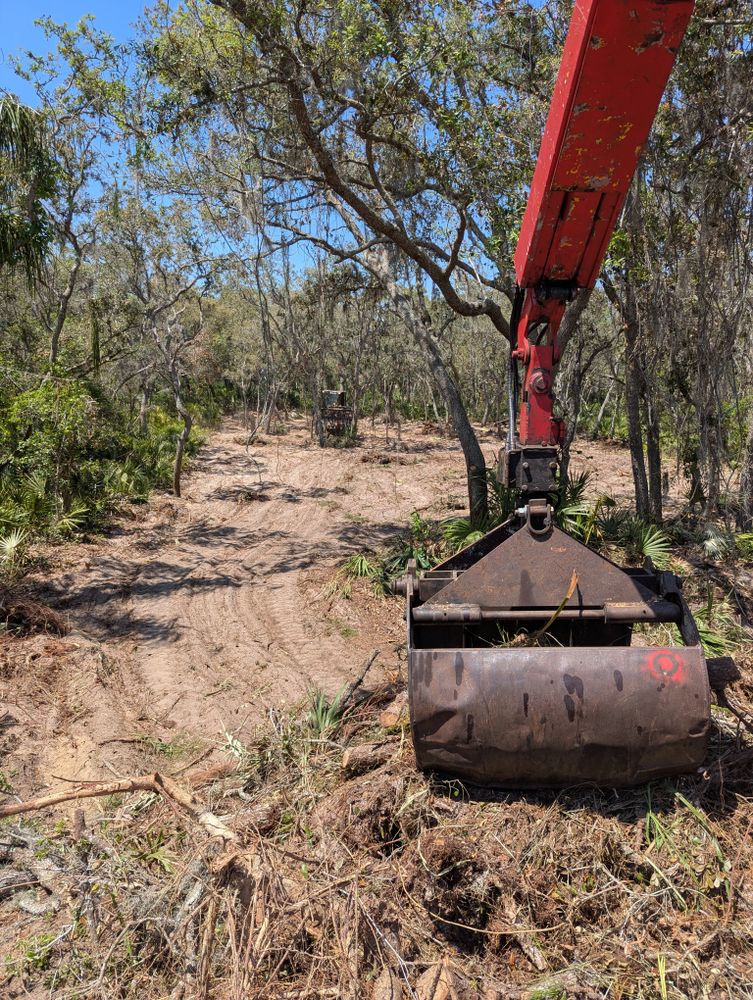 All Photos for Regal Tree Service and Stump Grinding in Wauchula, FL