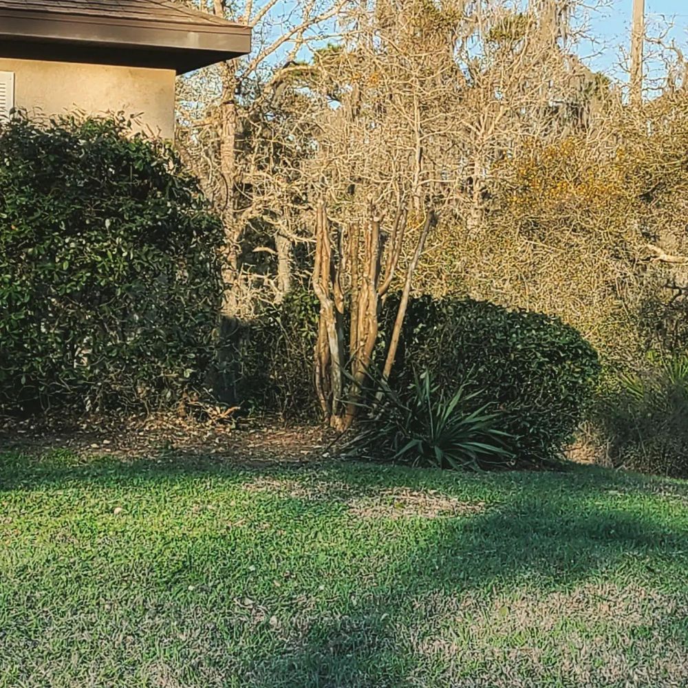 All Photos for TopNotch Landscaping Services  in The Villages, FL