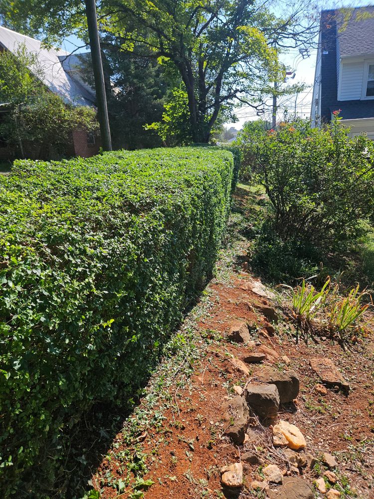 Lawn Care for Browns Grounds in Culpeper, VA