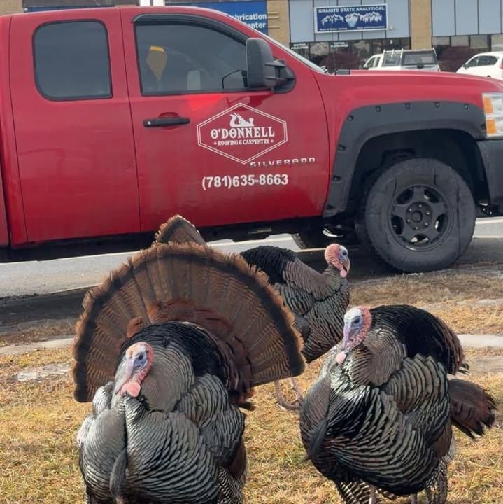 All Photos for O'Donnell Roofing & Carpentry in Derry, NH