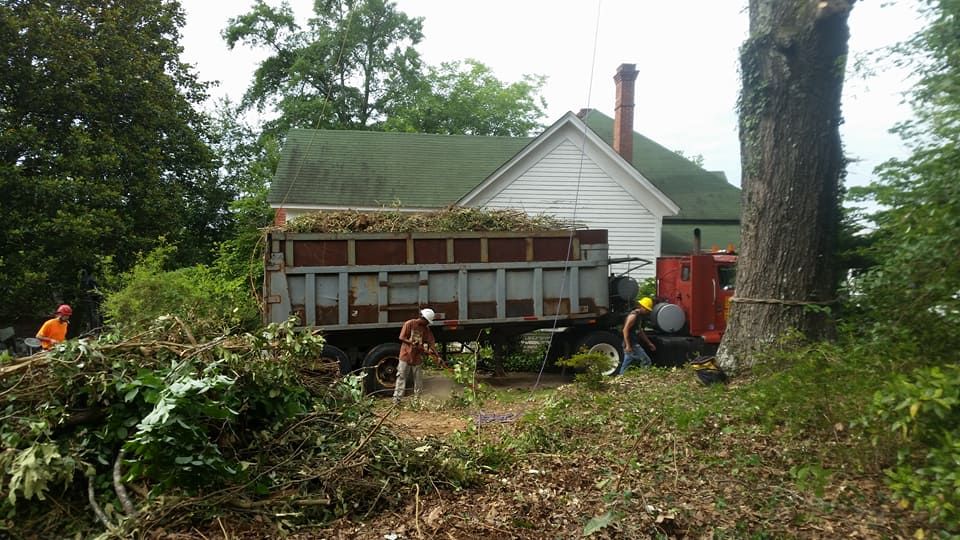 All Photos for D&S Tree and Demolition Services in Laurens, SC