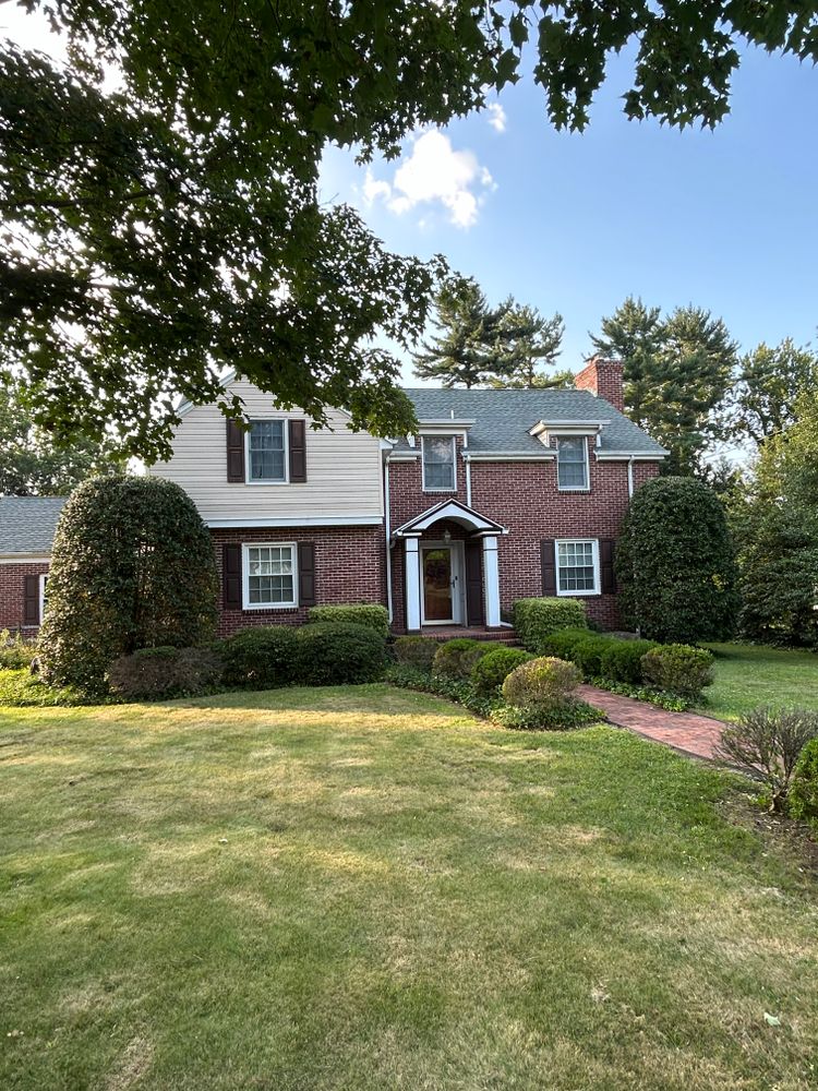 All Photos for Hingewood Tree Service in Salem, NJ