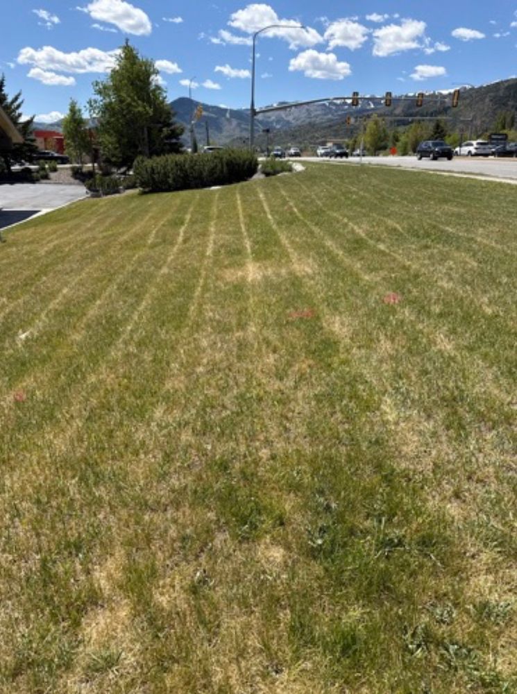 All Photos for Platinum Lawn Service in Santaquin, UT