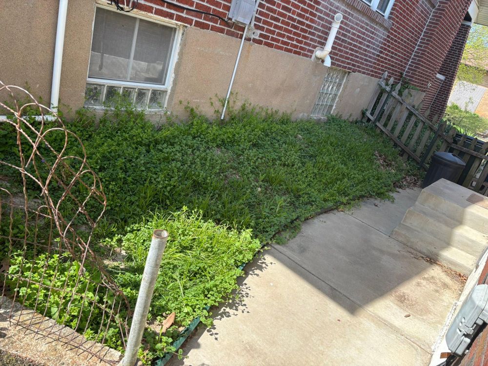 All Photos for Jackson Lawn Services LLC in St Louis, MO