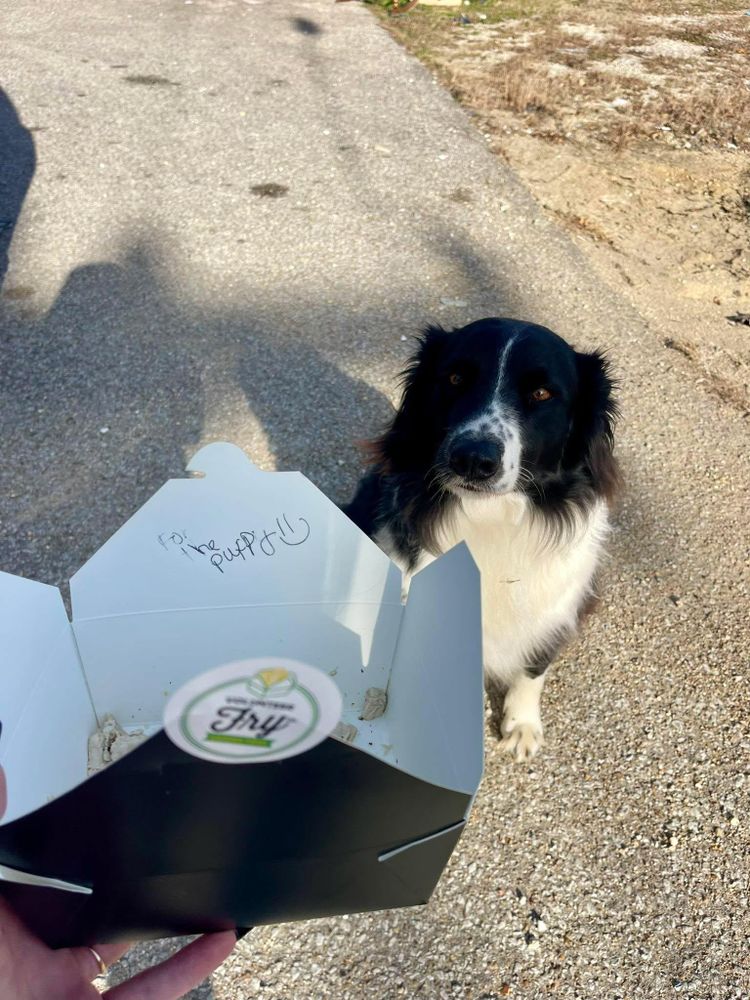 All Photos for Ross Family Tree Service LLC  in Hohenwald, TN