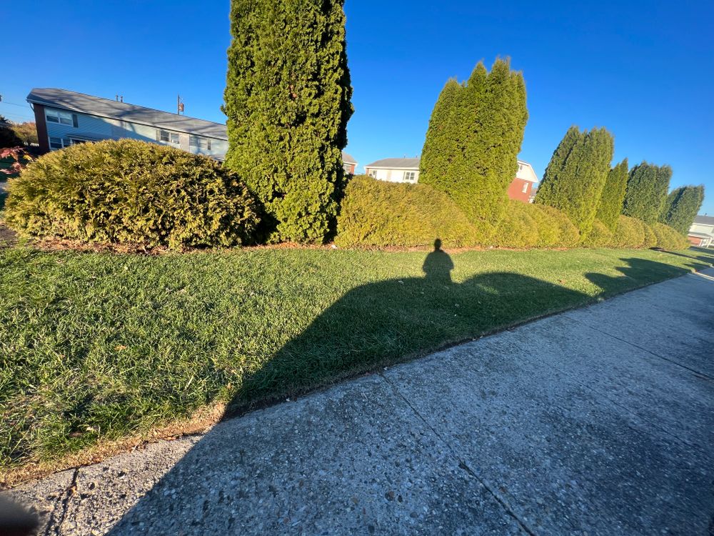All Photos for Mark’s Mowing & Landscaping LLC  in Ashville, OH