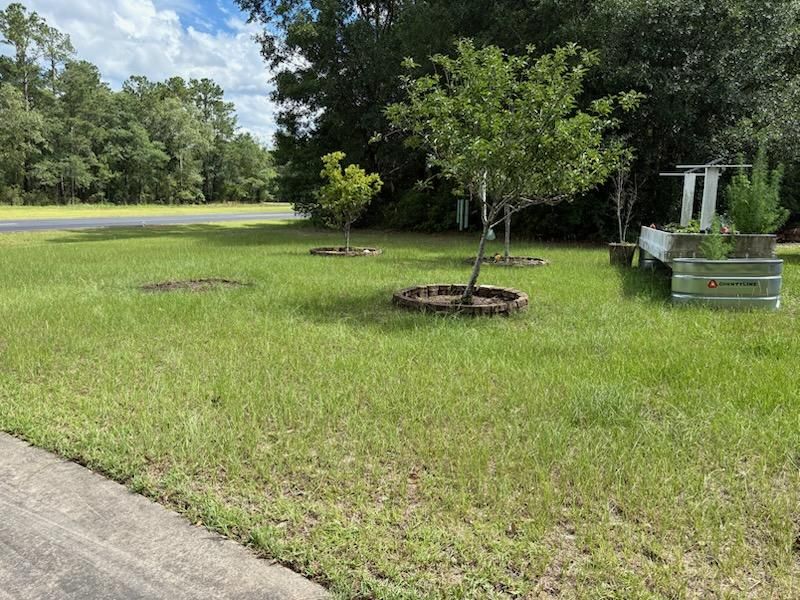 All Photos for Southern Roots Mowing in Townsend, GA