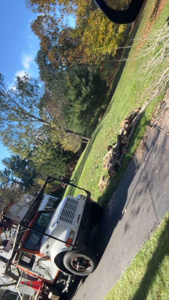 All Photos for Dwights Tree Service LLC in Middleborough, MA