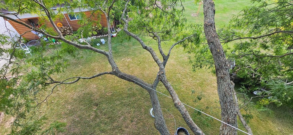 All Photos for Highborn Tree Service in Wheatfield, IN