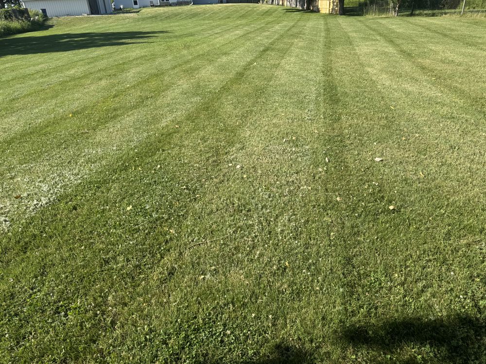 Landscaping Lawn Care for Daugherty's Tough Lawn Care in Essexville, MI